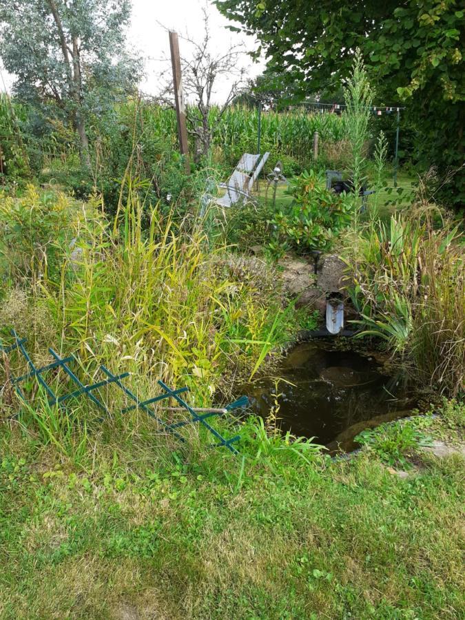 Vila Le Gite Du Hibou Ménil-Hubert-sur-Orne Exteriér fotografie